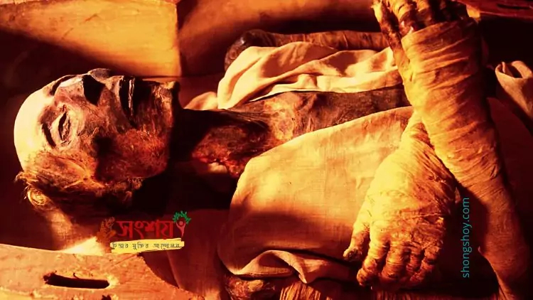 মহাবিশ্ব 30