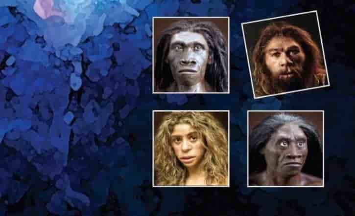 Homo sapiens