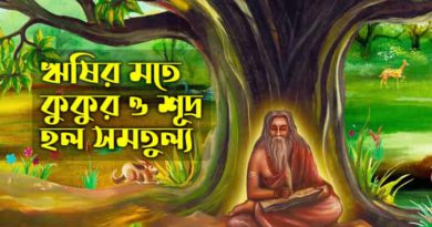 আর্য-ব্রাহ্মণ্য 3