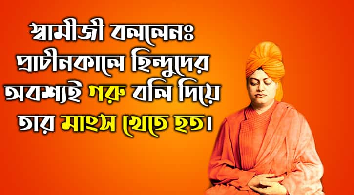 গোমাংস 19