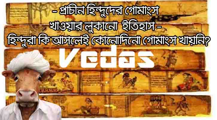গোমাংস 15