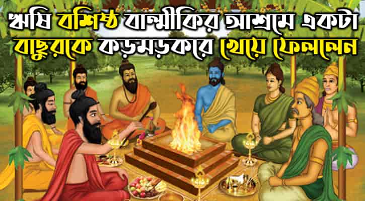 গোমাংস 7
