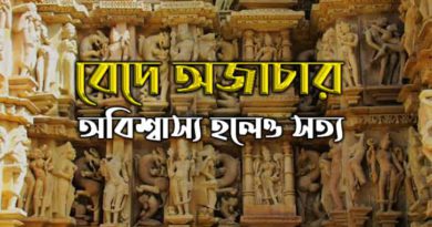 মনুসংহিতা 17