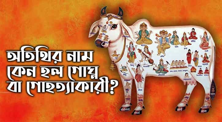 গোমাংস 5