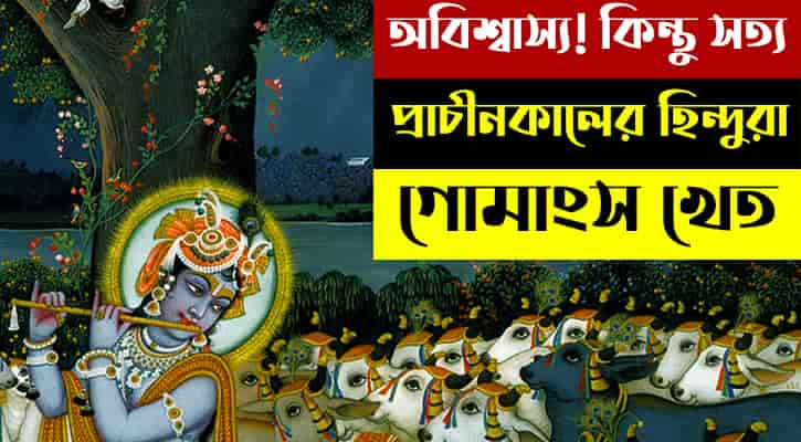 গোমাংস 1