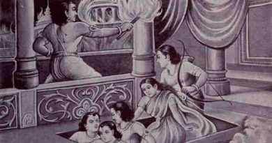 গরু 13