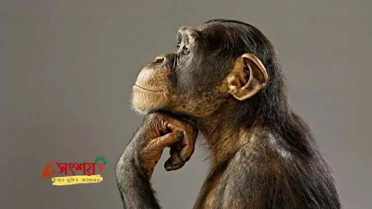 সাধারণ পূর্বপুরুষ 10