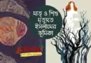 জনসংখ্যা বৃদ্ধি, মাতৃ ও শিশুমৃত্যুতে ইসলামের ভূমিকা