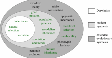 বিবর্তনের আধুনিক অগ্রগতি: প্রাণের অতলান্ত যাত্রা ও বিজ্ঞানের নতুন দিগন্ত