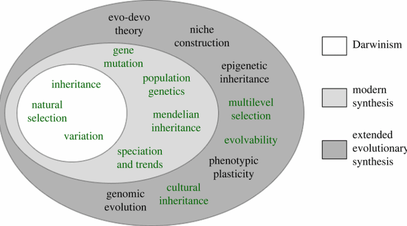 বিবর্তনের আধুনিক অগ্রগতি: প্রাণের অতলান্ত যাত্রা ও বিজ্ঞানের নতুন দিগন্ত
